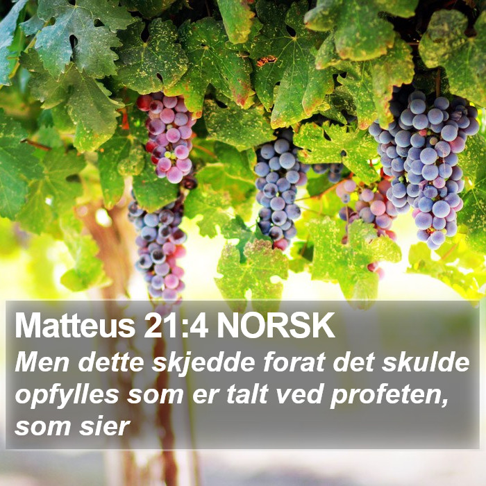 Matteus 21:4 NORSK Bible Study