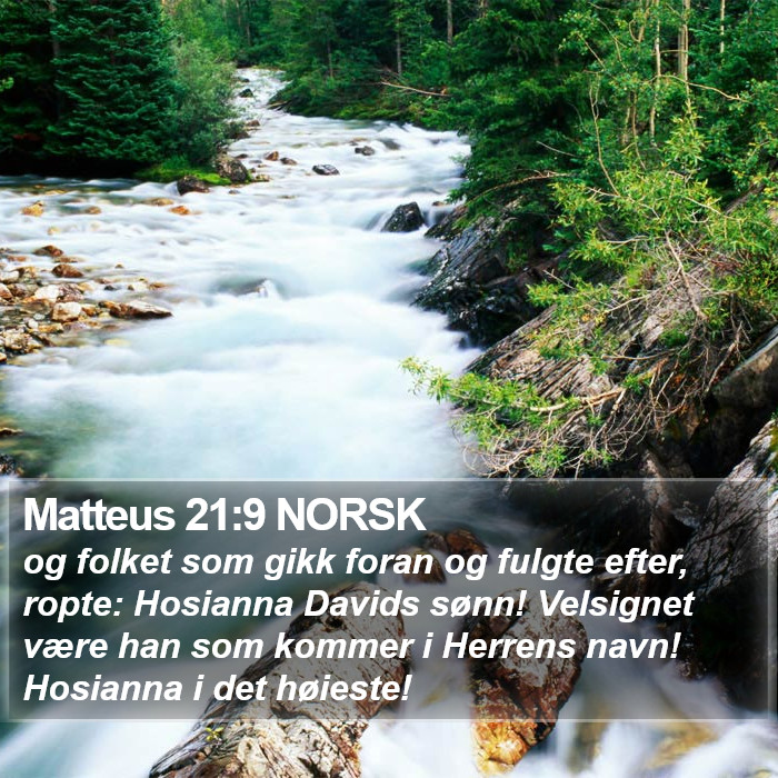 Matteus 21:9 NORSK Bible Study