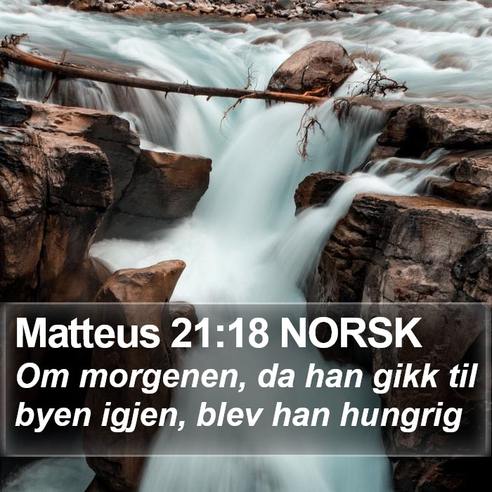 Matteus 21:18 NORSK Bible Study