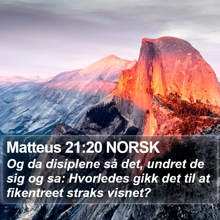 Matteus 21:20 NORSK Bible Study