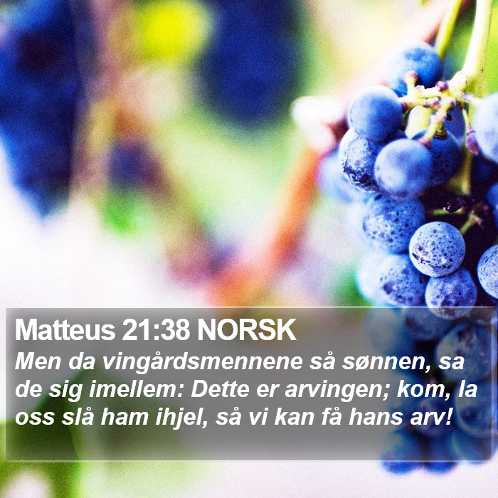 Matteus 21:38 NORSK Bible Study