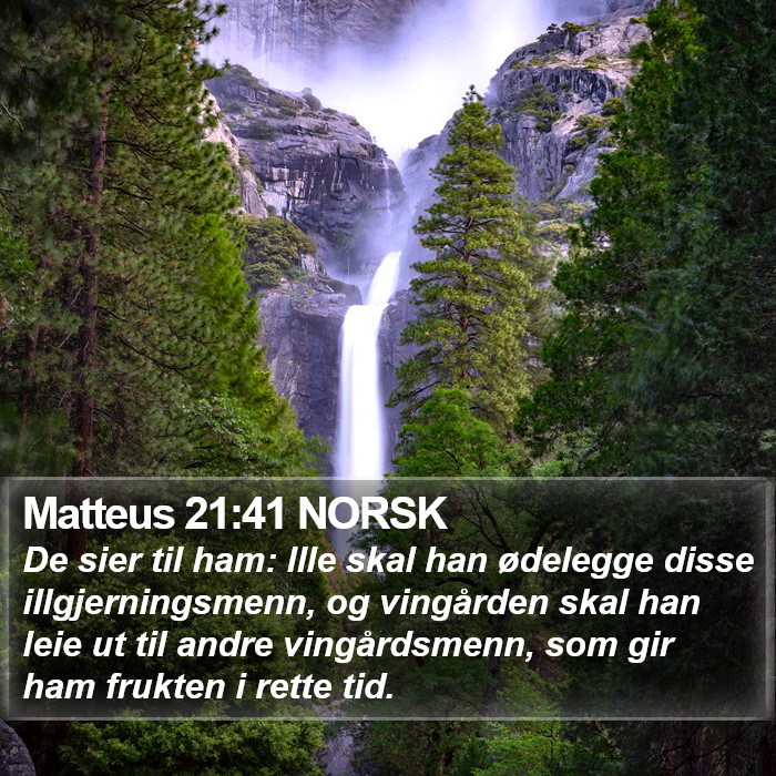 Matteus 21:41 NORSK Bible Study