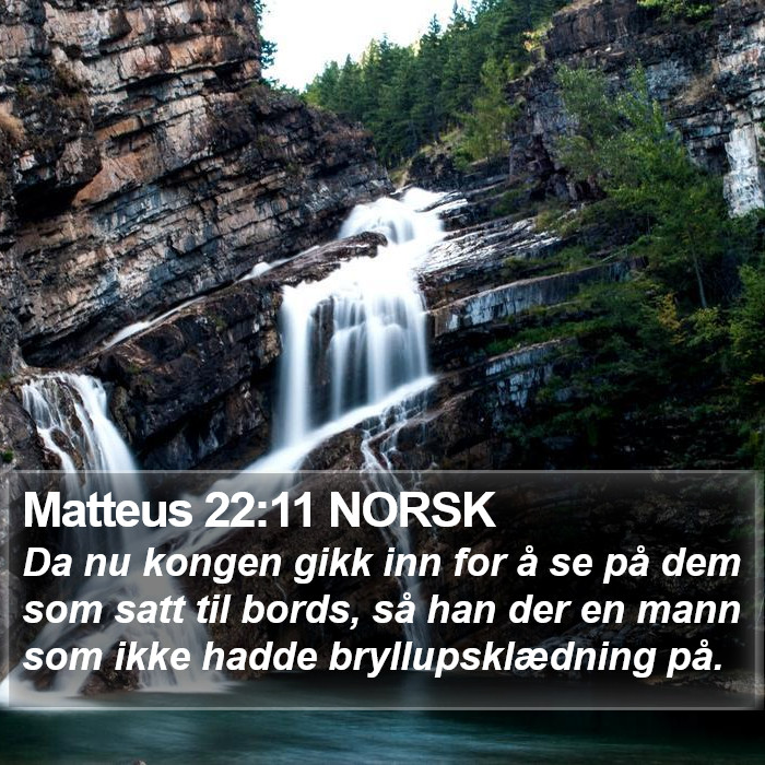 Matteus 22:11 NORSK Bible Study