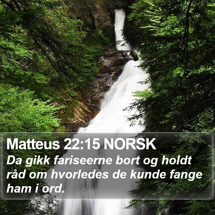 Matteus 22:15 NORSK Bible Study