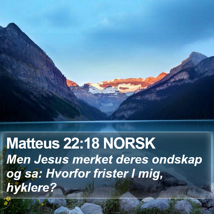 Matteus 22:18 NORSK Bible Study