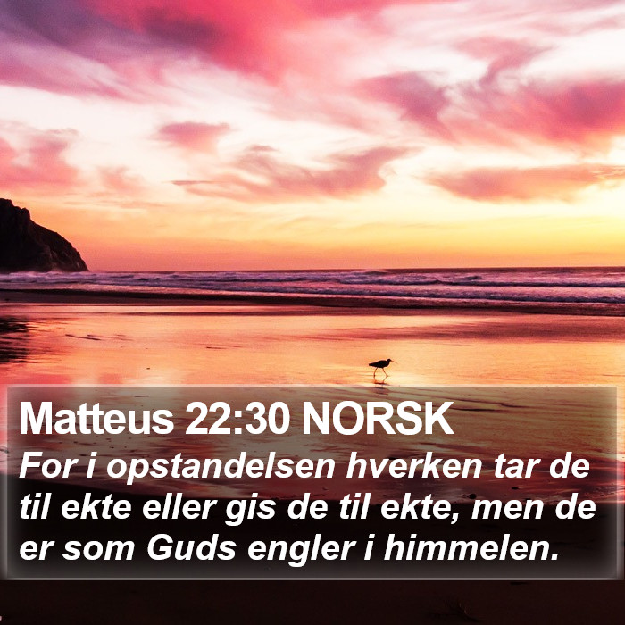 Matteus 22:30 NORSK Bible Study