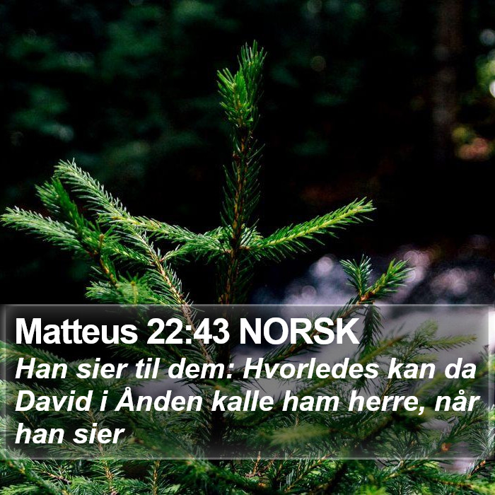 Matteus 22:43 NORSK Bible Study