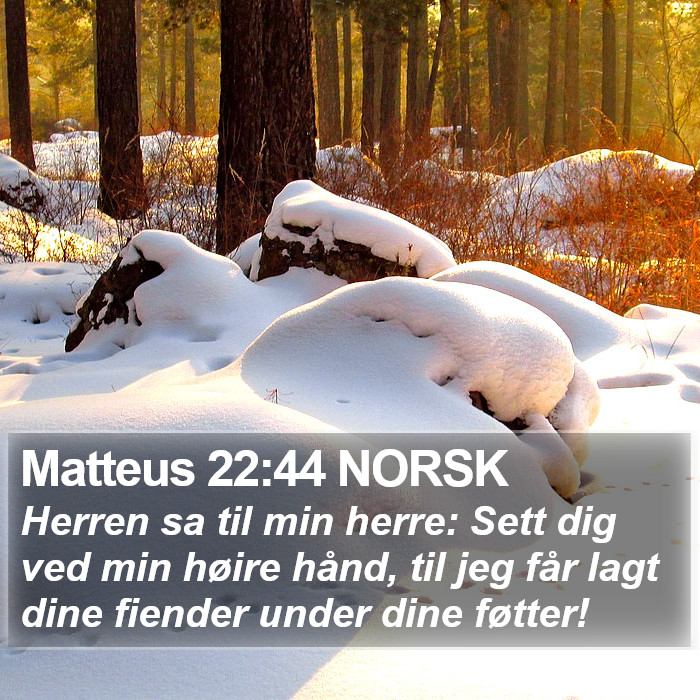 Matteus 22:44 NORSK Bible Study