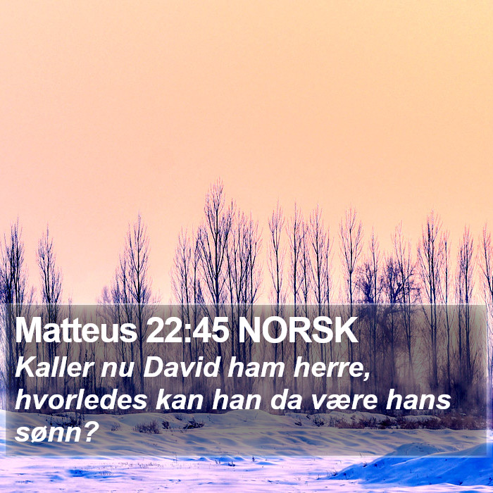 Matteus 22:45 NORSK Bible Study