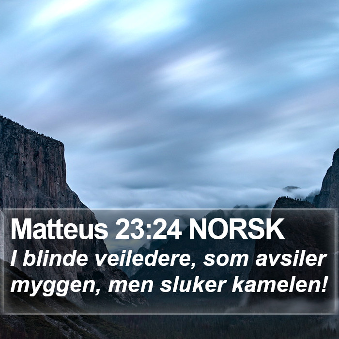 Matteus 23:24 NORSK Bible Study