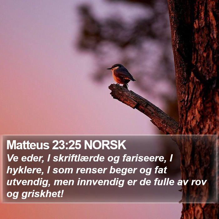 Matteus 23:25 NORSK Bible Study