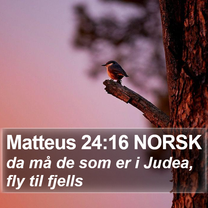 Matteus 24:16 NORSK Bible Study