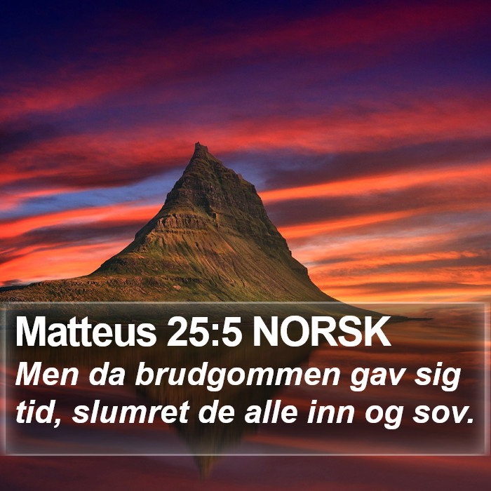 Matteus 25:5 NORSK Bible Study