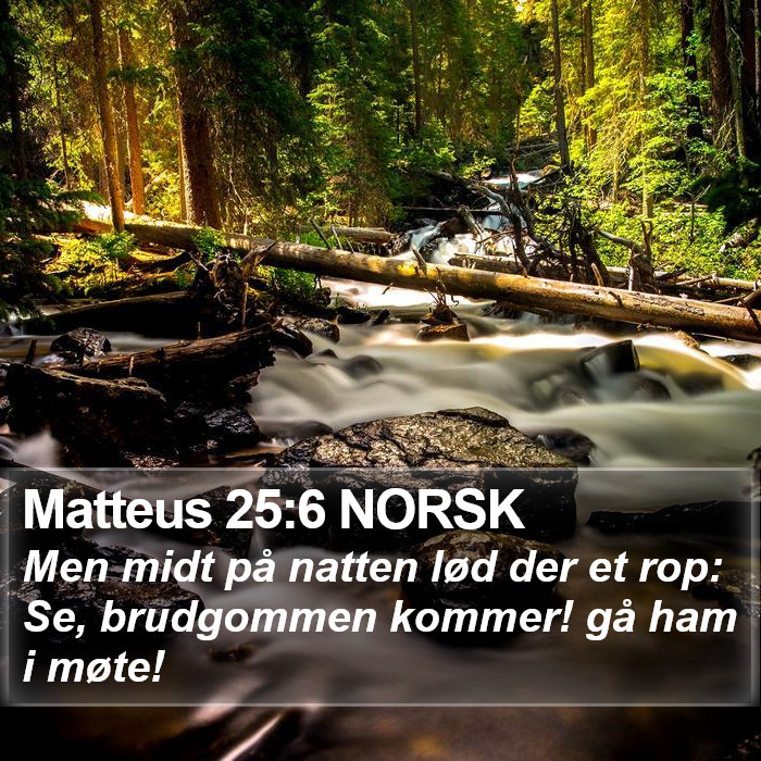 Matteus 25:6 NORSK Bible Study