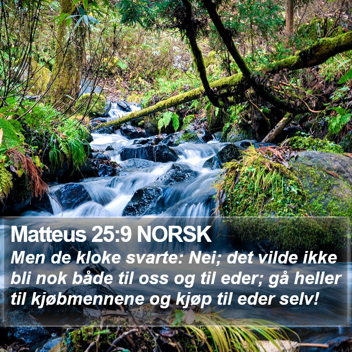 Matteus 25:9 NORSK Bible Study