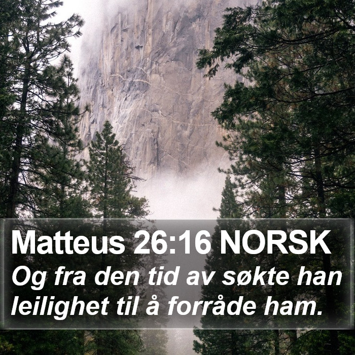 Matteus 26:16 NORSK Bible Study