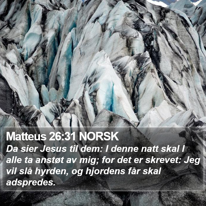 Matteus 26:31 NORSK Bible Study