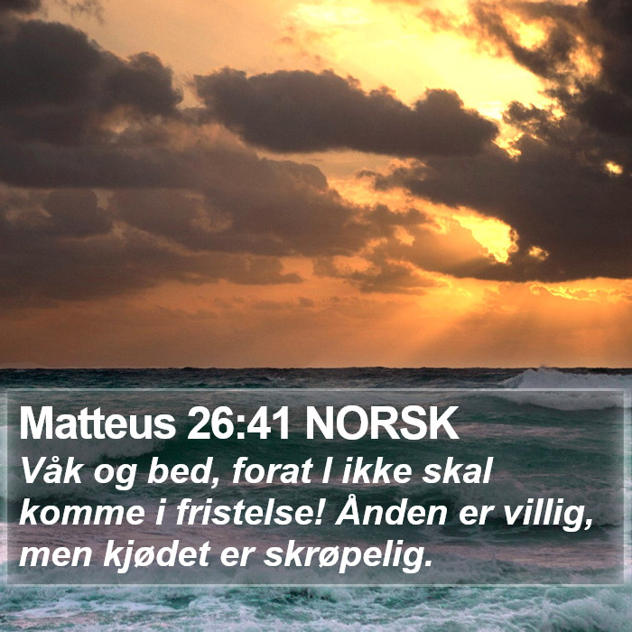 Matteus 26:41 NORSK Bible Study