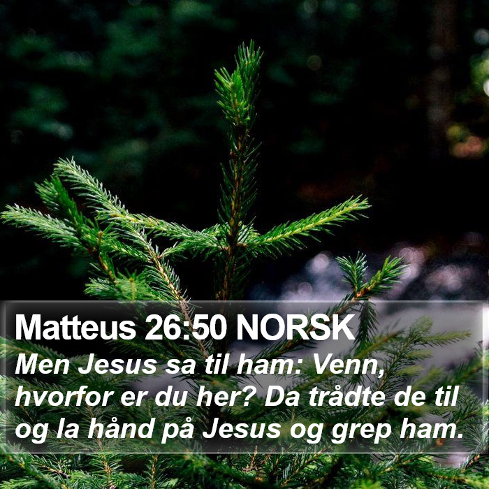 Matteus 26:50 NORSK Bible Study