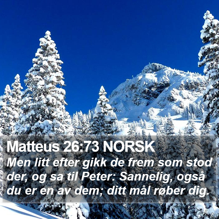 Matteus 26:73 NORSK Bible Study