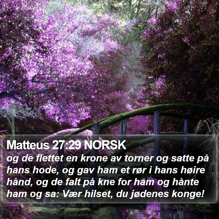 Matteus 27:29 NORSK Bible Study