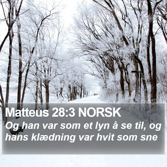 Matteus 28:3 NORSK Bible Study