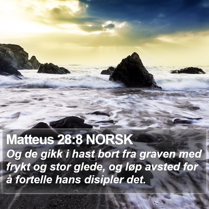 Matteus 28:8 NORSK Bible Study