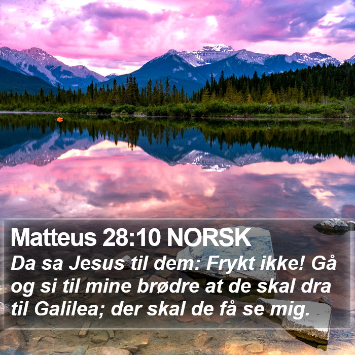 Matteus 28:10 NORSK Bible Study