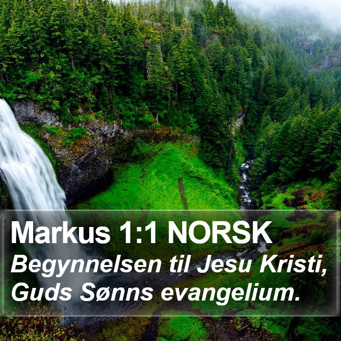 Markus 1:1 NORSK Bible Study