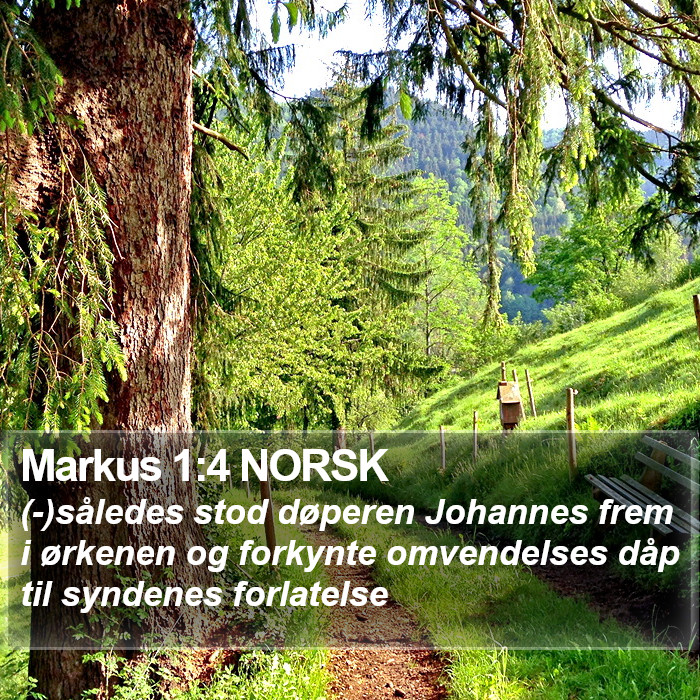 Markus 1:4 NORSK Bible Study