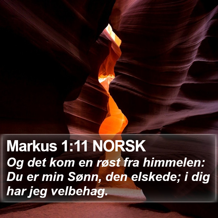 Markus 1:11 NORSK Bible Study