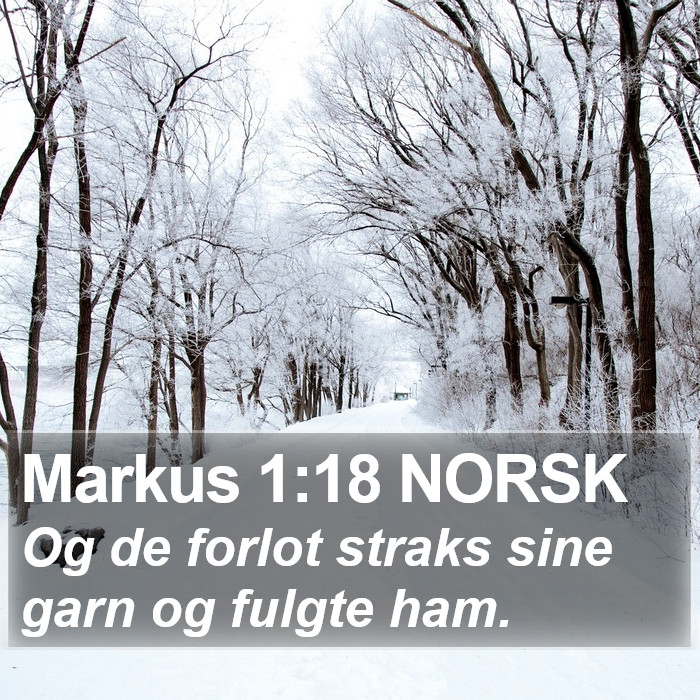 Markus 1:18 NORSK Bible Study