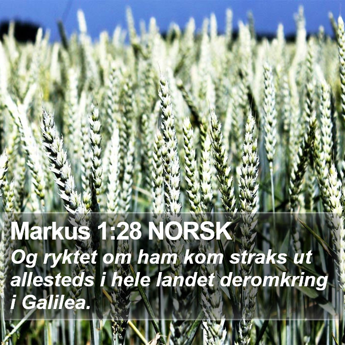 Markus 1:28 NORSK Bible Study