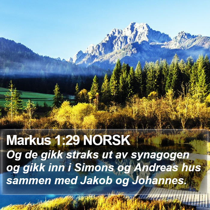 Markus 1:29 NORSK Bible Study