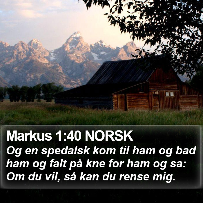 Markus 1:40 NORSK Bible Study