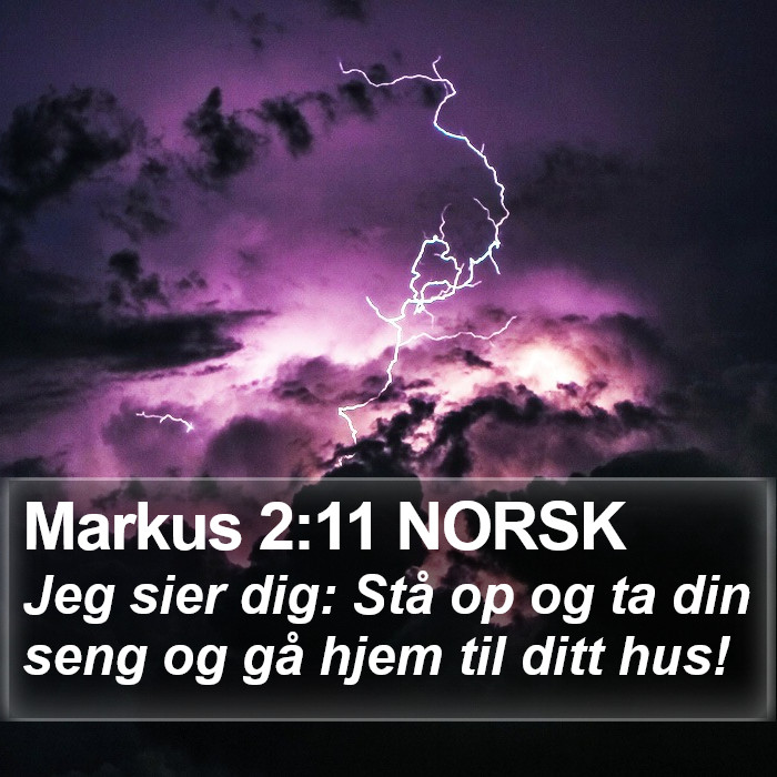 Markus 2:11 NORSK Bible Study