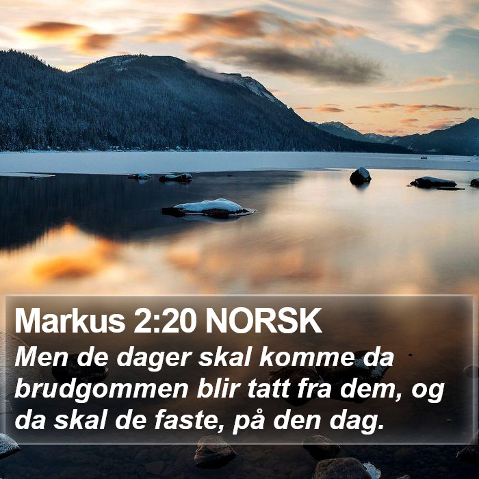Markus 2:20 NORSK Bible Study