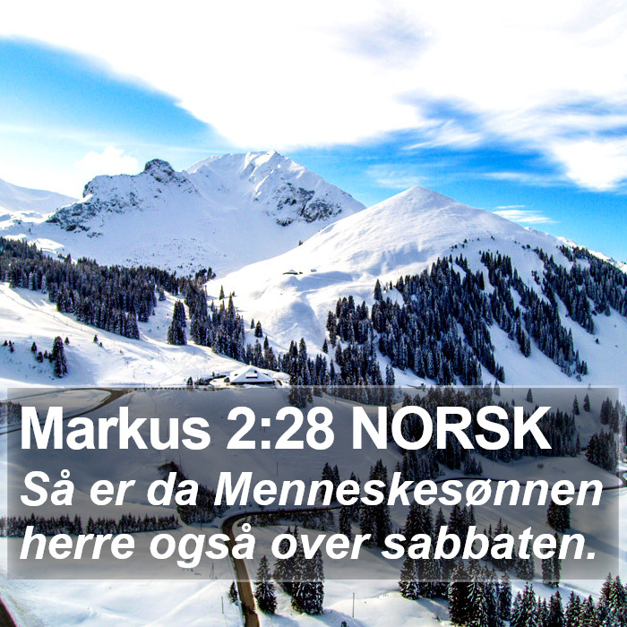 Markus 2:28 NORSK Bible Study