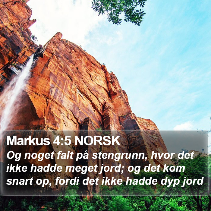 Markus 4:5 NORSK Bible Study