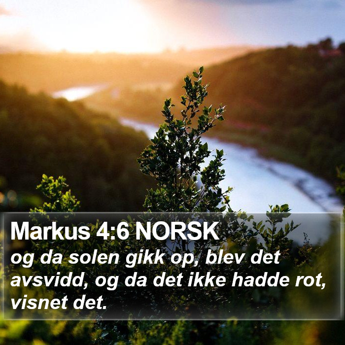 Markus 4:6 NORSK Bible Study