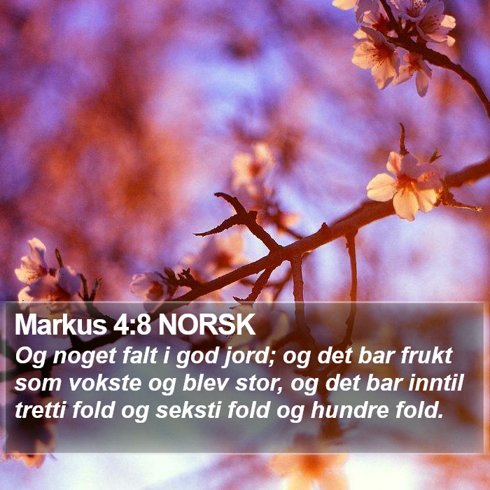 Markus 4:8 NORSK Bible Study