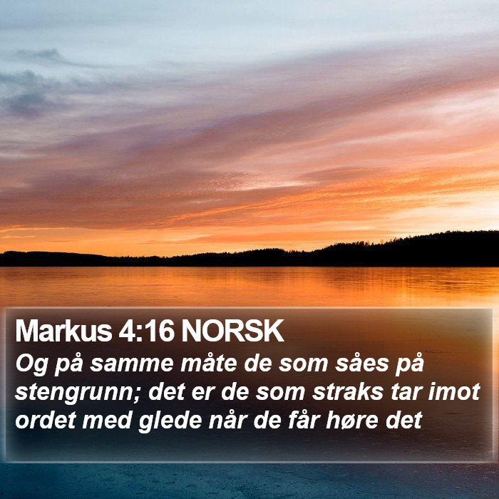 Markus 4:16 NORSK Bible Study