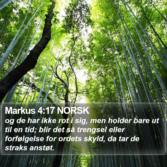Markus 4:17 NORSK Bible Study