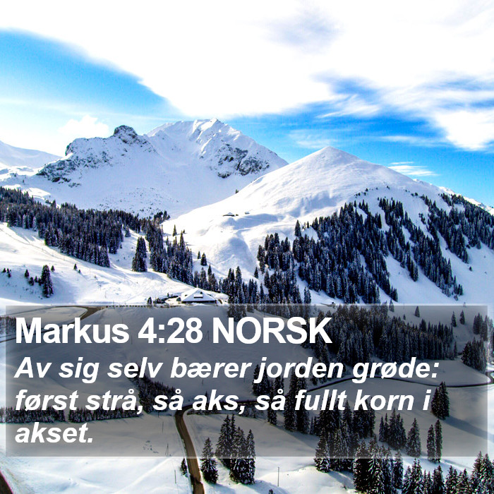 Markus 4:28 NORSK Bible Study