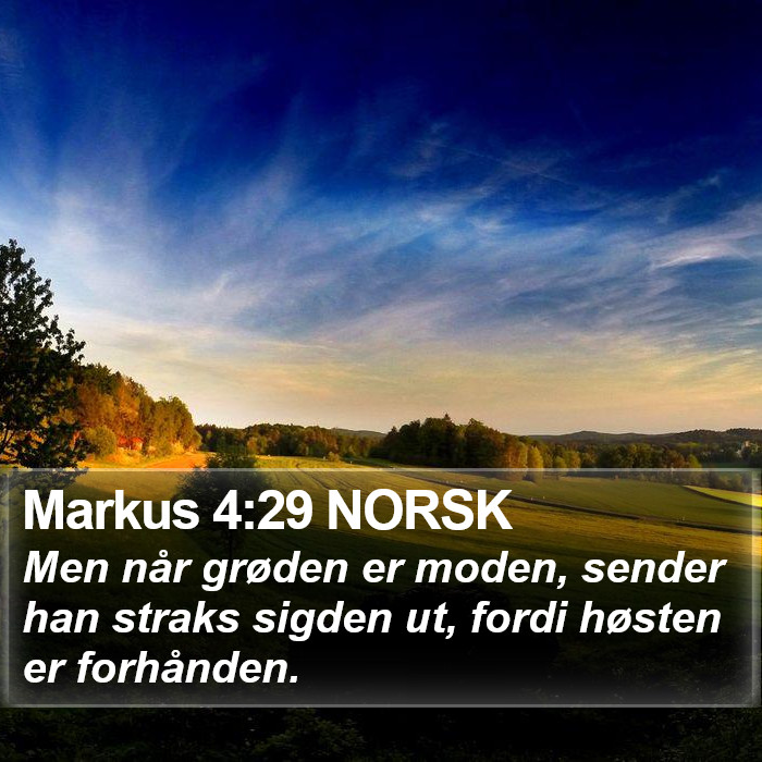 Markus 4:29 NORSK Bible Study