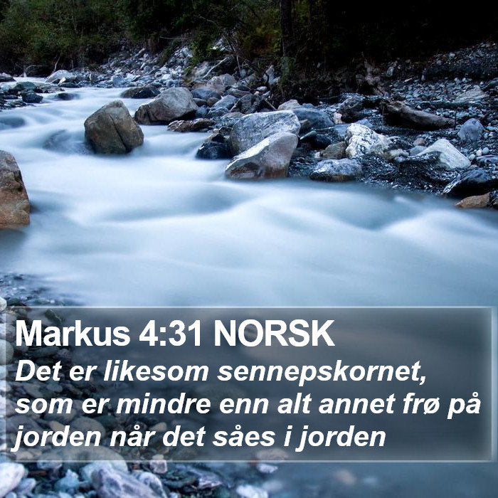 Markus 4:31 NORSK Bible Study