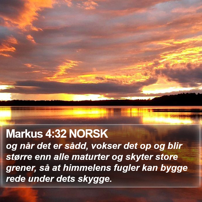 Markus 4:32 NORSK Bible Study