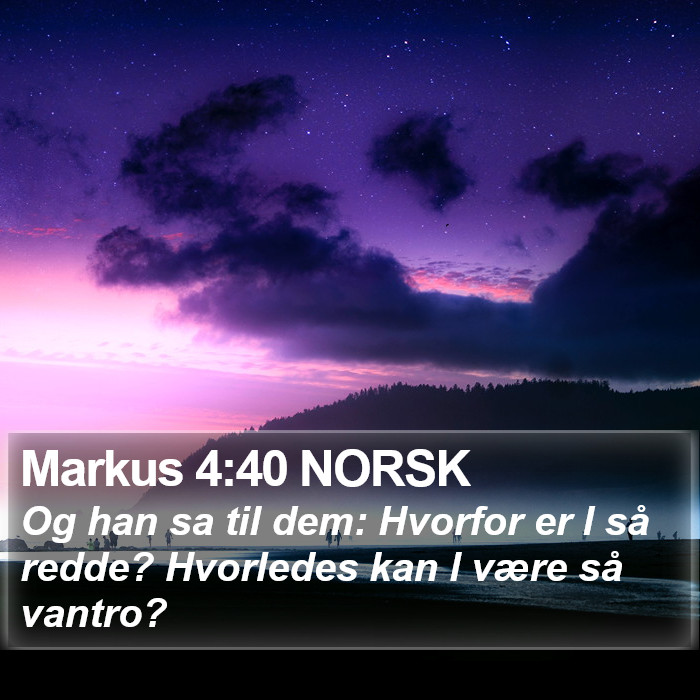 Markus 4:40 NORSK Bible Study