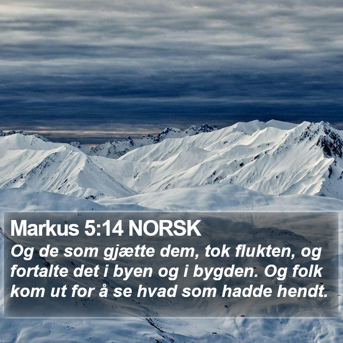 Markus 5:14 NORSK Bible Study