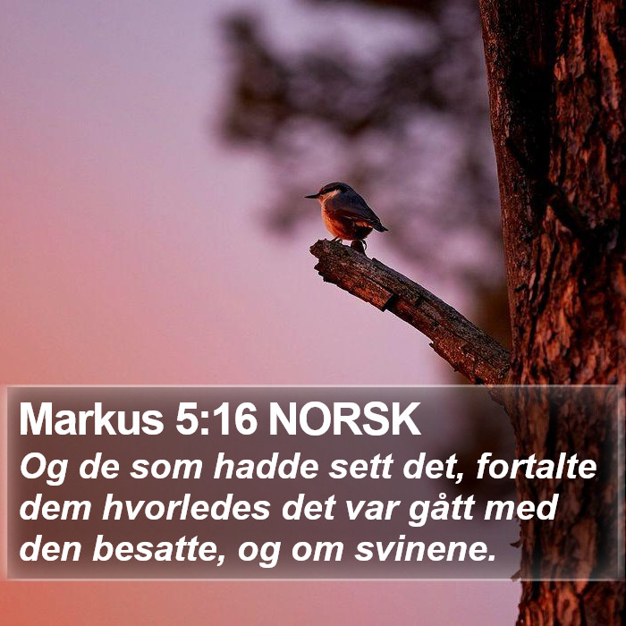 Markus 5:16 NORSK Bible Study